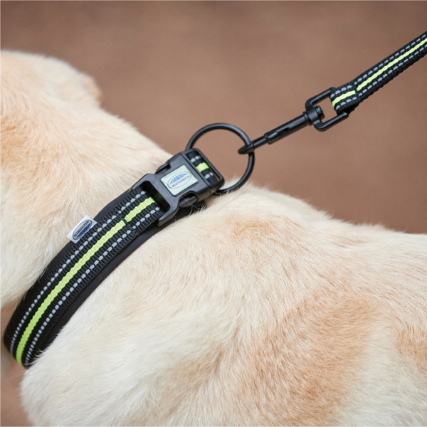 Weatherbeeta Reflektierendes Hundehalsband 1003618 - Yellow